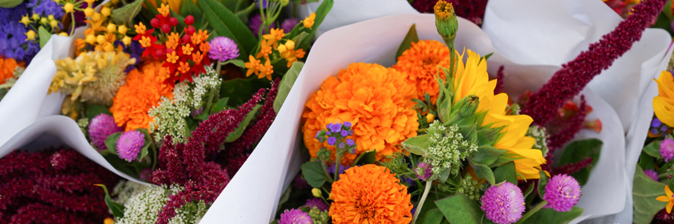 Spansk på Studieskolen